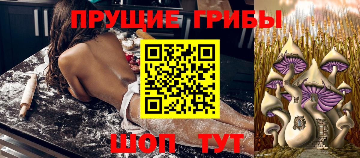 хочу   Вход с VPN  Галлюциногенные грибы Cubensis  Кизилюрт  Галлюциногенные грибы MAGIC MUSHROOMS 